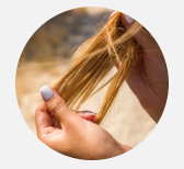 dull, brittle or limp hair